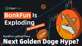 How To Create A Solana Token + Bonk Token Creation +  Build the Next Hype Doge!  + Tutorial