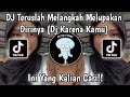 Dj teruslah melangkah melupakan dirinya  dj karena kamu viral tiktok yang kalian cari 