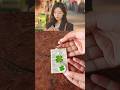Queen of tears lucky four leaf clover🍀 key chain| kdrama aesthetic # short # diy # viral # trending