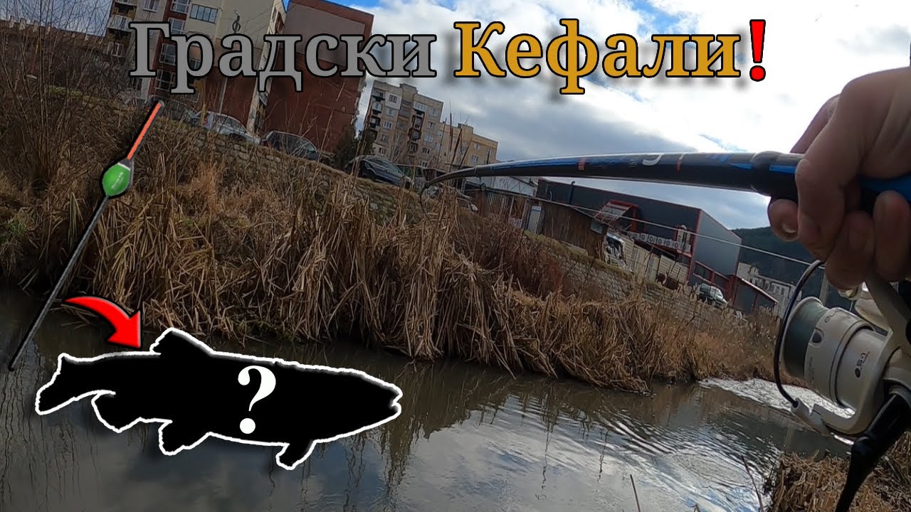 ТРАГЕДИЯ в Перник! Риболов на КЕФАЛИ в ГРАДА през ЗИМАТА на изтичане с ПЛУВКА! Какво се случи!