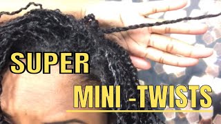 [HOW-TO] TIPS to Make your Mini-Twists LAST! ::: PART 1 #ProtectiveStyling