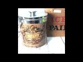【未使用】アイスペール　氷入れ　蓋付き　アルコールグッズ　TYPVS OR BIS TERRARVM