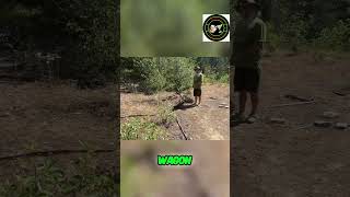 Loggers Landings Hidden Treasure: Exploring Old Wagon Parts! #shorts @RetiredLyfe