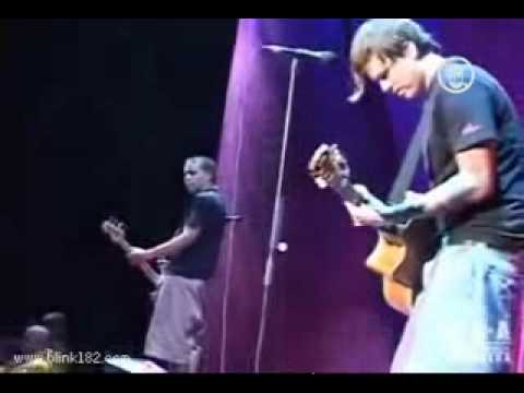 Blink-182 - What Went Wrong (Live)