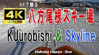 4Kで観る、八方クロビシ＆スカイライン　整地を気持ちよく滑る映像