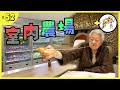 孿生兄弟的本土室內農場｜三噸重的拿坡里火爐烤焗薄餅｜即摘即用的Farm to Table