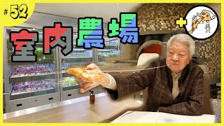 孿生兄弟的本土室內農場｜三噸重的拿坡里火爐烤焗薄餅｜即摘即用的Farm to Table