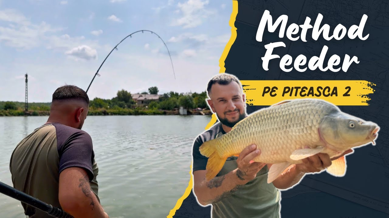 Method Feeder la DOAR 5 METRI! Pescuit în Margine cu Trăsături Spectaculoase pe Piteasca 2!