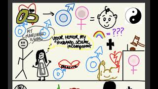 Week 4 Visual Analysis Project