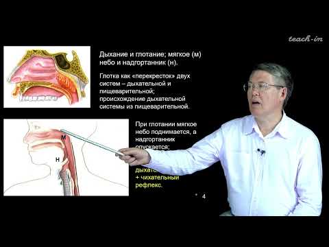 Дубынин В.А. - 100 часов школьной биологии - 1.8 Дыхание