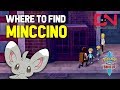 Where to find Missing Minccino - Pokemon Sword and Shield