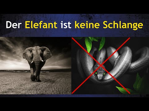 Der Elefant ist keine Schlange