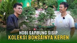 Download Lagu Hobi Sambung Sisip, Koleksi Bonsainya Luar Biasa dan Bebas Hama! MP3 Download Lagu Hobi Sambung Sisip, Koleksi Bonsainya Luar Biasa dan Bebas Hama! MP3