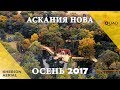 Аскания-Нова c высоты, аэросъемка 2017