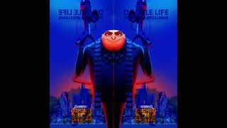 Double Gru Double Life