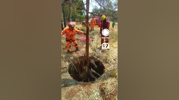 Bombeiros resgatam cavalo que caiu em fossa de 12 metros de profundidade em MG
