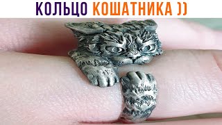 КОЛЬЦО КОШАТНИКА ))) Приколы с котами | Мемозг 1260