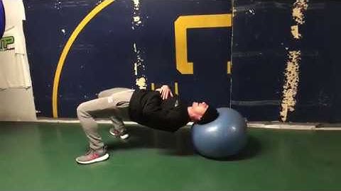 Neck Strength | Dustin Myers