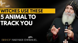 5 Animals WITCHES Use To MONITOR Your Every Move | BISHOP  MAR MARI  EMMANUEL