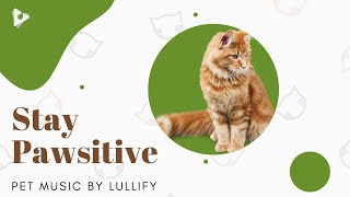 Stay Pawsitive - 1 Hour of Soft Tunes for Cats | Pet Music by Lullify | Lullify ∞ 618 screenshot 4