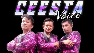 Lagu Batak viral// SAPALA: Cipt:Tagor Pangaribuan// Live CEESTA VOICELagunya bikin baper gaes❤️