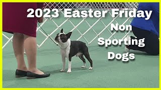 2023 Easter Friday Show  Non Sporting Dogs