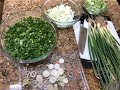 Dehydrating Home Grown Green Onions