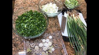 Dehydrating Home Grown Green Onions