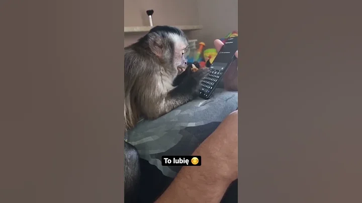 Watch the video about Best Funny Pets Laughing Video Compilation 😘||#shorts #youtubeshorts #trendingshorts #zoo #zodiac