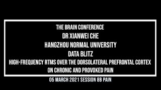 The Brain Conference 2021: Data Blitz: Xianwei Che