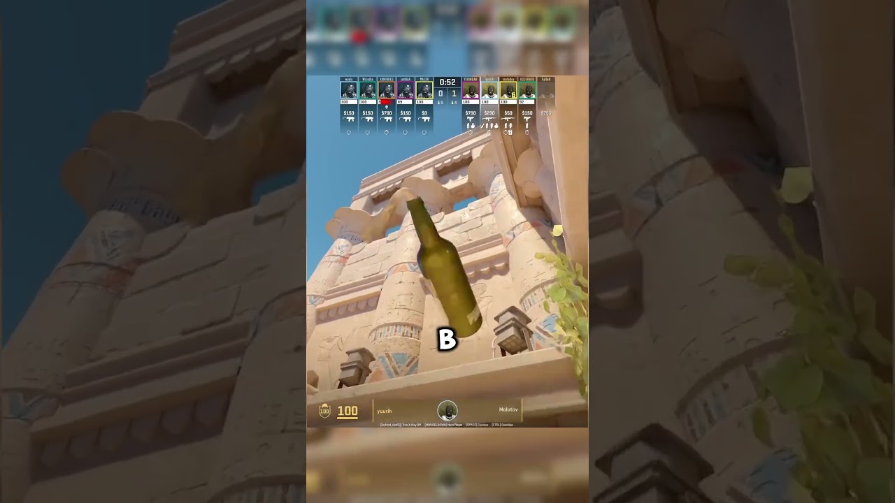 ANUBIS MUST-KNOW MOLLIE  