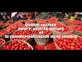 Quatre secrets pour réussir la culture et la commercialisation de la tomate