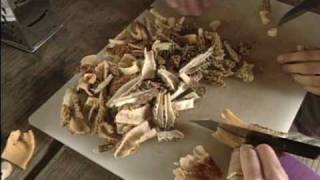 Morel Mushrooms in Missouri