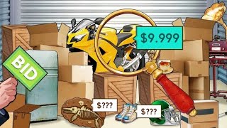 From $0 to Millionaire: Storage Bidding Challenge! (Bid Master)