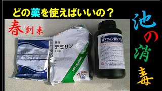 錦鯉 春の消毒　過マンガン酸カリウム・デミリン・パフラジンF [JAPANESE KOI KEEPER]