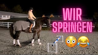 ICH werde SPRINGREITERIN?? I Vlog