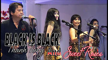 BLACK IS BLACK | THANH TUNG & SWEET ROSES | OLDIES BUT GOODIES | 50's 60's 70's | 🔥🔥 🔥 HOT 🔥🔥🔥