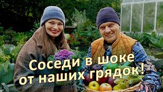 видео: Не копайте огород осенью! Вот что нужно сделать вместо этого картинка: Не копайте огород осенью! Вот что нужно сделать вместо этого