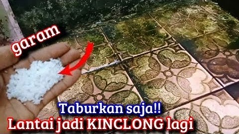 Cukup begini saja!! Membersihkan Lantai kamar mandi berlumut jadi bersih kinclong seperti baru
