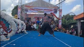 Jaranan SRIJOYO PUTRO ORIGINAL Celeng Srenggi Ft L-SHA audio Live Kauman Nganjuk