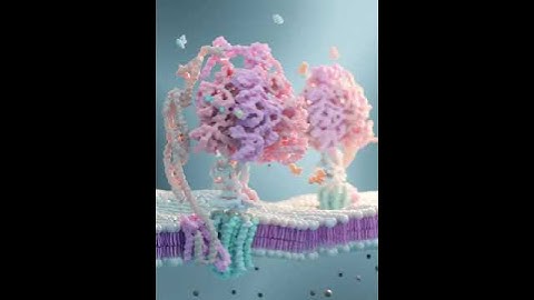 Animated ATP synthase