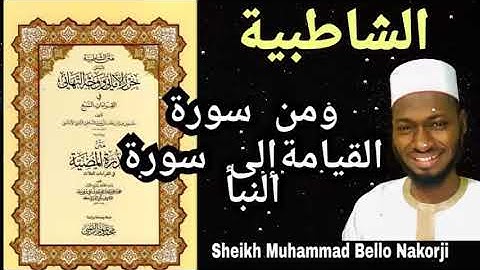 ومن سورة القيامة إلى سورة النبأ