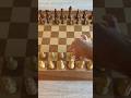 Trampa Brutal contra Principiantes🔥♟️
