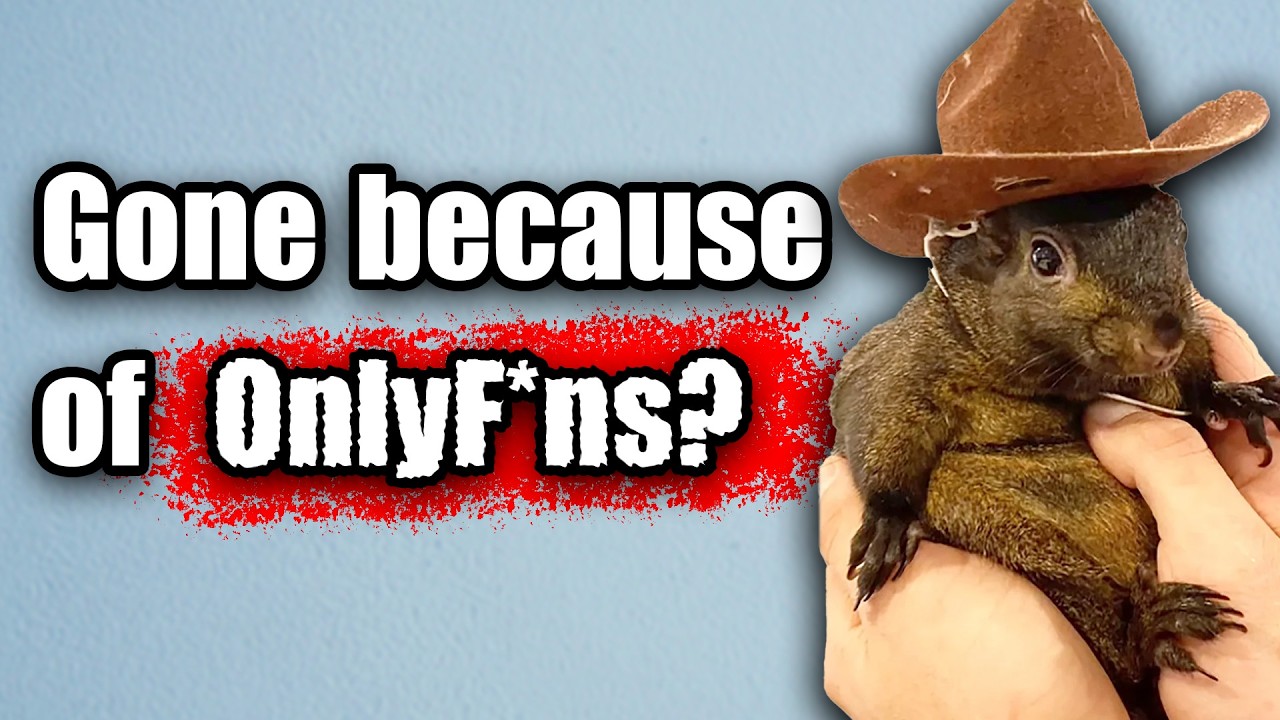 Peanut: The Squirrel That Became A MAGA Martyr