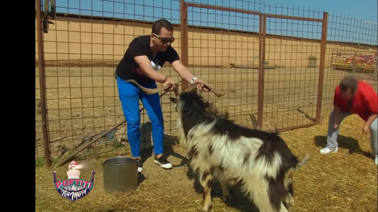 BĂTĂLIA ANULUI : JEAN DE LA CRAIOVA  VS ȚAP