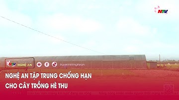 Nghệ An tập trung chống hạn cho cây trồng Hè Thu