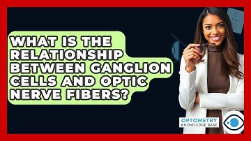 What Is The Relationship Between Ganglion Cells And Optic Nerve Fibers? - Optometry Knowledge Base