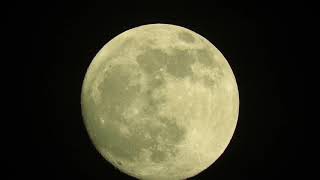 First Moon For Century Which Is No Teen Anymore. Ever