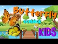 Butterfly Learning Quiz