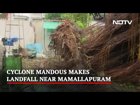 Cyclone Mandous Uproots Trees, Leaves Chennai Roads Waterlogged